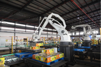 廣東徐聞誠邀大家一起吃菠蘿啦!